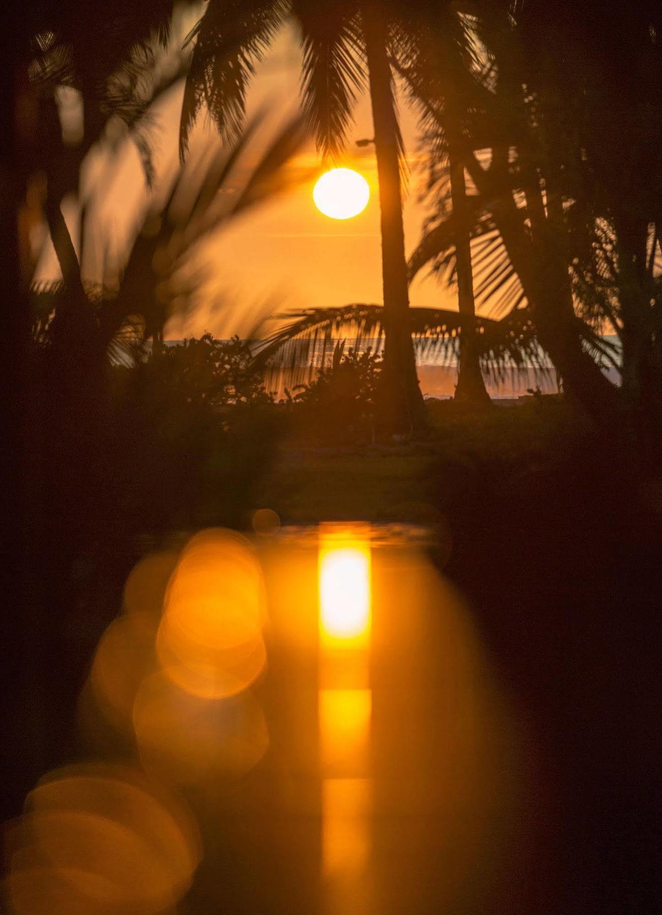 Clandestino Beach Resort Parrita Buitenkant foto