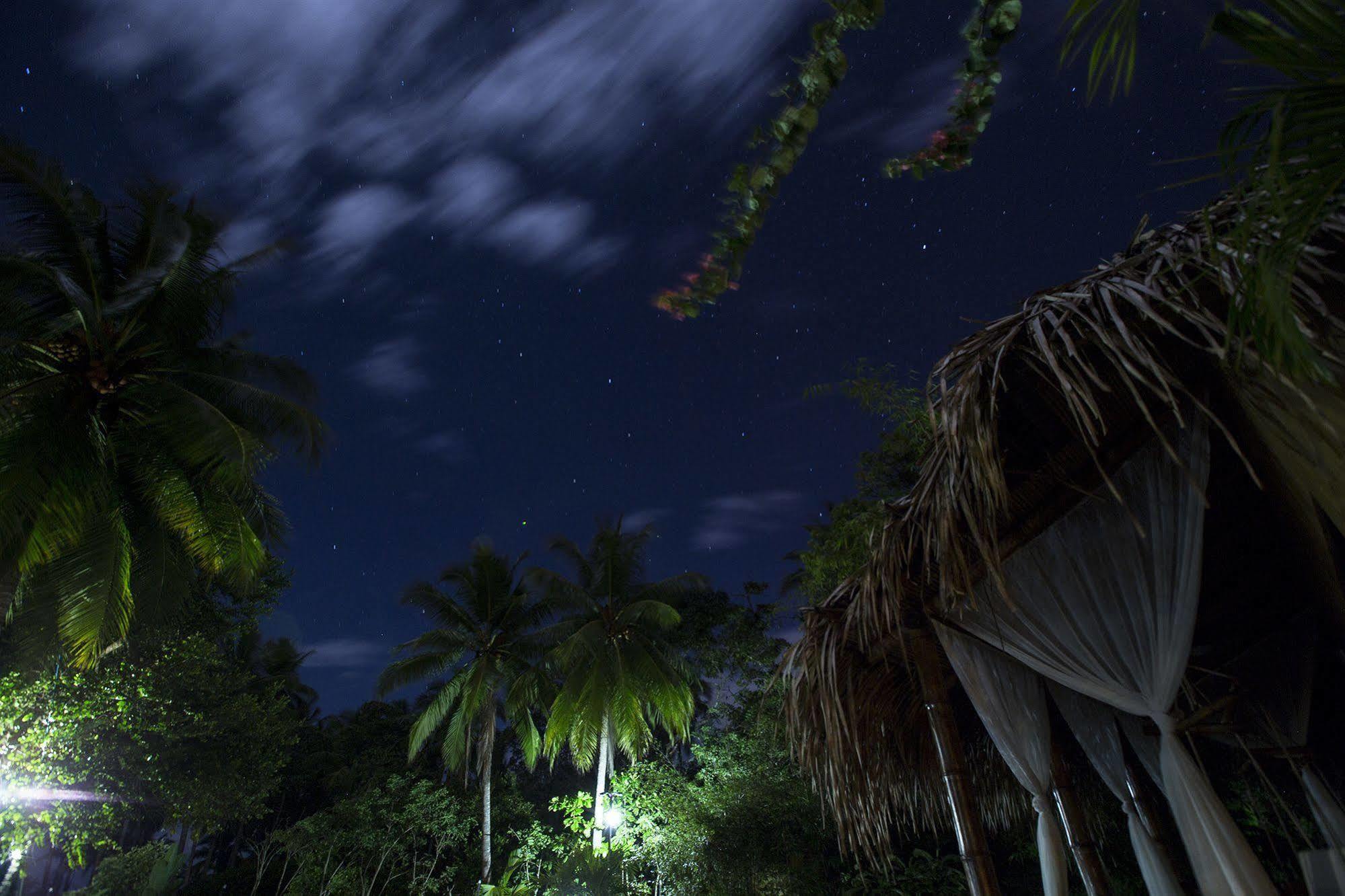 Clandestino Beach Resort Parrita Buitenkant foto