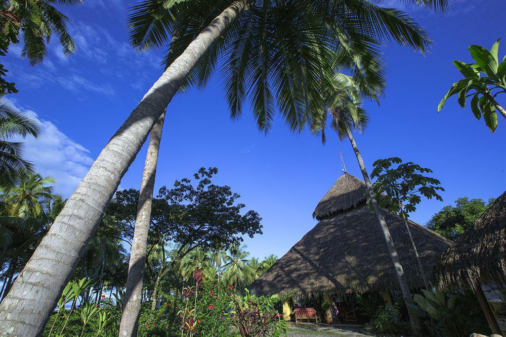 Clandestino Beach Resort Parrita Buitenkant foto